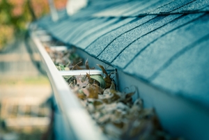 clogged-roof-gutter